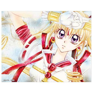 _Wk LX^XebJ[ rbO 傫 ϐ ڂ 70N 566153