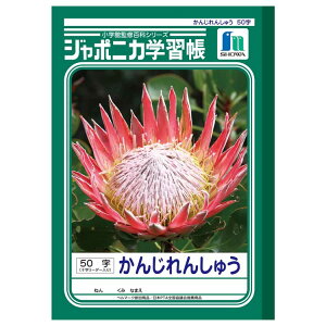 W|jJwK JL-48 B5 񂶂񂵂イ 50 \[_[ K VEm[g 014805