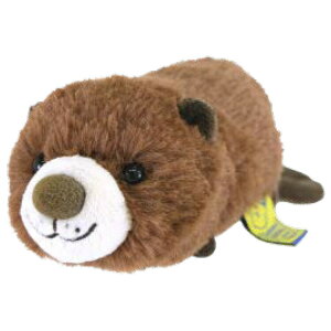 xCr[Aj}Y ʂ S r[o[ uE 051205