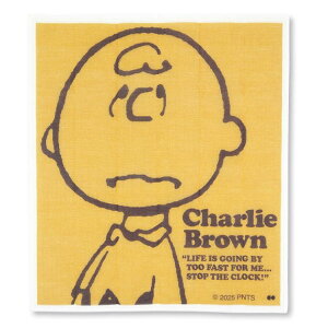 Xk[s[ ␶nӂ CHARLIE BROWN CG[ 771858