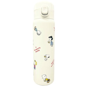 Xk[s[ XeX{g 480mL JbvP[L hN{g  }C{g GR 259089