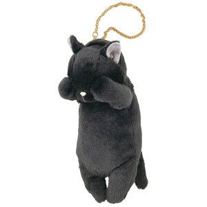 т˂ pXP[X X~lR  ʊw ʋ 070838