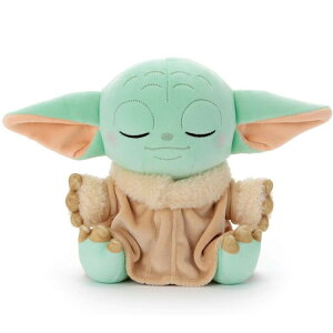 X^[EH[Y ʂ S O[O[ ₷th STAR WARS