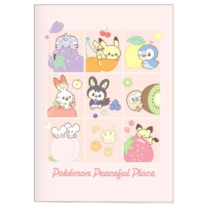 |PbgX^[ |P ObY A5m[g t[c |Ps[X 273050