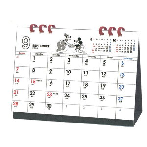 ~bL[}EX 2026N J_[ 1000136865  Be[W GR^Cv y[p[O 174178