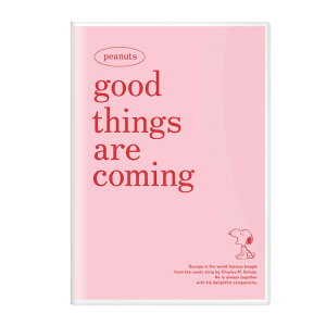 Xk[s[ 蒠 2026N XPW[ 2025N10n܂ B6 }X[ PINK 258079