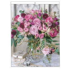 ΂̍ 2026N J_[ 1000136904 Ǌ| 174611