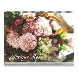 AeB[N[Y 2026N J_[ 1000136907 Ǌ| O+vX`bNo[ 174659