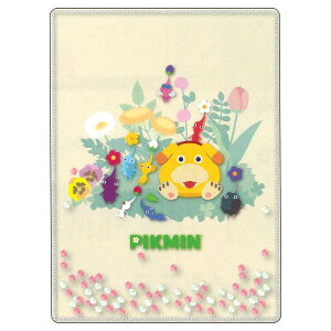 sN~ XpR[ NAt@C A5 W ܂ 2e 570648