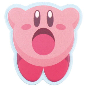 ̃J[rB ObY U[XebJ[  254491