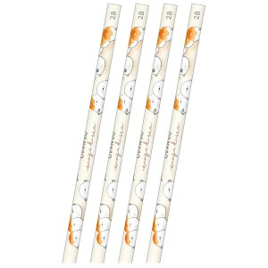 4{ZbgƃV}GiK M 2B  񂲃GiK 9e 282063