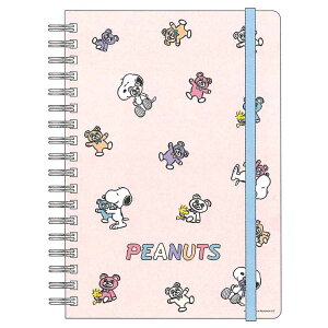 Xk[s[ WOm[g B6 pXe 5mm Xk[s[&Jh[xA[Y 842042