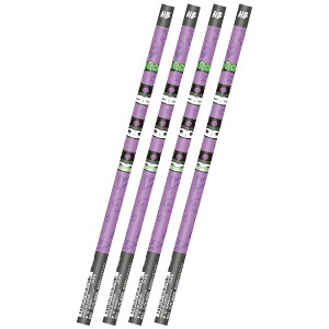 4{Zbg N~ }bgM HB  068994