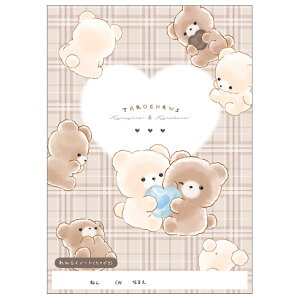 낿 B5 Am[g ď ܂낸 Vw RNV 337164