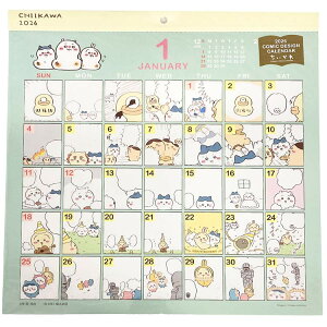  2026N J_[ 1000137019 Ǌ| R~bNfUC 175878