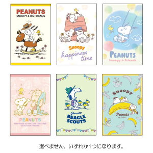 【種類はおまかせ】スヌーピー レギュラーポチ袋 ぽち袋 封筒 正月 祝儀 気持ち 年始 245690