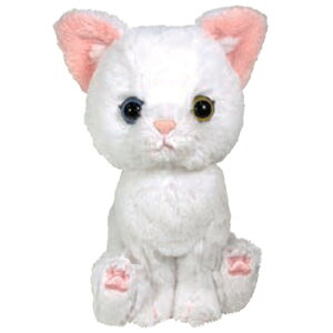 Kitten Lg ʂ VlR 041367