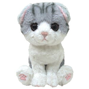 Kitten Lg ʂ XReBbVtH[h O[ 044214