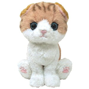 Kitten Lg ʂ XReBbVtH[h uE 044221