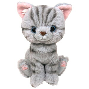 Kitten Lg ʂ AJV[gwA O[ 037520