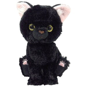 Kitten Lg ʂ NlR 037551