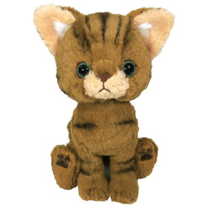 Kitten Lg ʂ LWg 048724