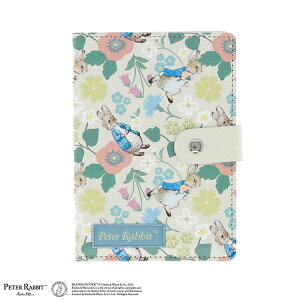 s[^[rbg 蒠P[X Vr[VbNt[ 007417