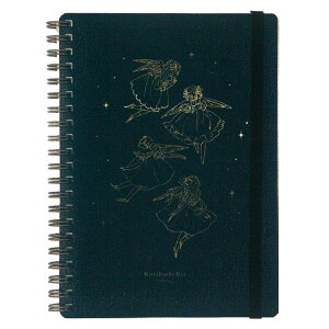 ͂ꂢ B6Om[g BK 713670 ubN