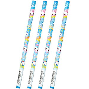 4�{�Z�b�g �L�����f�B�c�C���Y ���M 2B �ێ� �u���[ �������g�� 022175