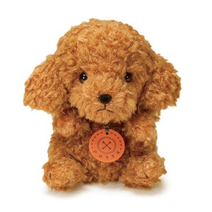 Aj}`[t ʂ v[h potte 820639