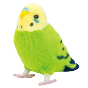 Ƃ̂ ʂ ZLZCCR O[ 485282