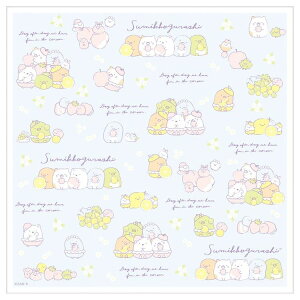 ݂R炵 `itL R CH43606 `}[Pbg