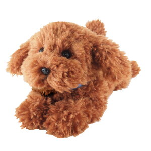 Ђ ʂ gCv[h uE 043033