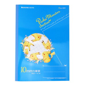 |PbgX^[ wK B5 10mmr ZNV m[g 025108