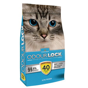 yanifullŎg500~OFFN[|ΏۏizC^[Th I[hbN 6kg{396837}