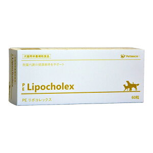 yanifullŎg500~OFFN[|ΏۏizQIX yeBGX PE |RbNX 60