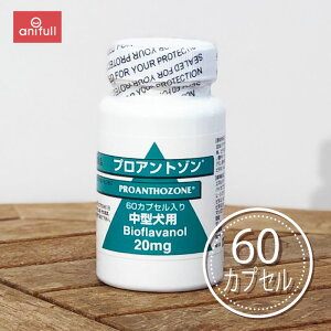 y`OX 1ll2܂ sz vAg] 20mg ^p 60JvZ p 