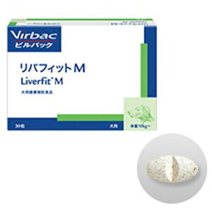otBbgM 30 ЃrobNWp