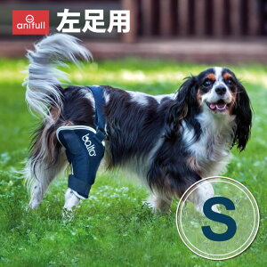 BT JUMP (GT|[^[)  STCY ̕G̃gu G֐߃T|[^[ og  G G֐   Œ pe EȒP GW EP EP p ^ ^