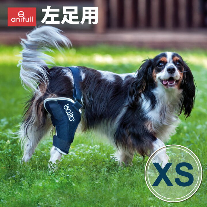楽天市場】BT JUMP (膝サポーター) 左 XSサイズ 愛犬の膝のトラブルに 