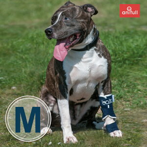 BT SPLINT (手根関節サポーター) Mサイズ ペット用足首サポーター バルト