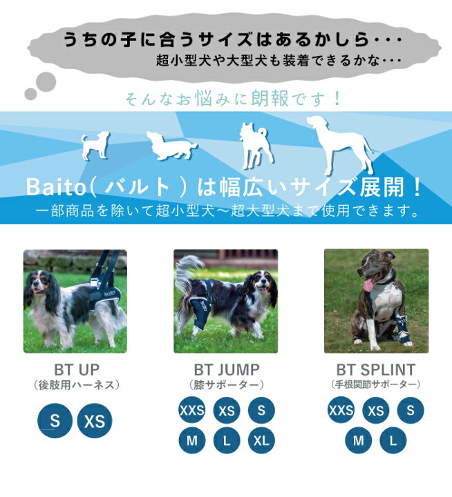 楽天市場】BT JUMP (膝サポーター) 左 XXSサイズ 愛犬の膝のトラブルに 