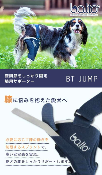 楽天市場】BT JUMP (膝サポーター) 左 XXSサイズ 愛犬の膝のトラブルに 