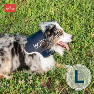 BT NECK (T|[^[)LTCY ŃT|[^[  pi p  ^   T|[^[ Œ  RZbg RZbg pT|[^[ pRZbg pRZbg 