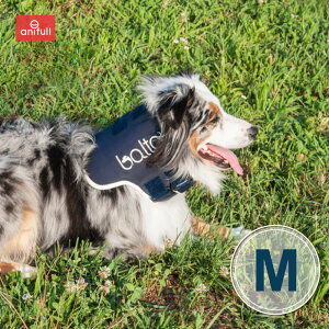 BT NECK (T|[^[)MTCY ŃT|[^[  pi p  ^   T|[^[ Œ  RZbg RZbg pT|[^[ pRZbg pRZbg 