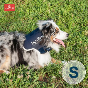 BT NECK (T|[^[)STCY ŃT|[^[  pi p  ^   T|[^[ Œ  RZbg RZbg pT|[^[ pRZbg pRZbg 