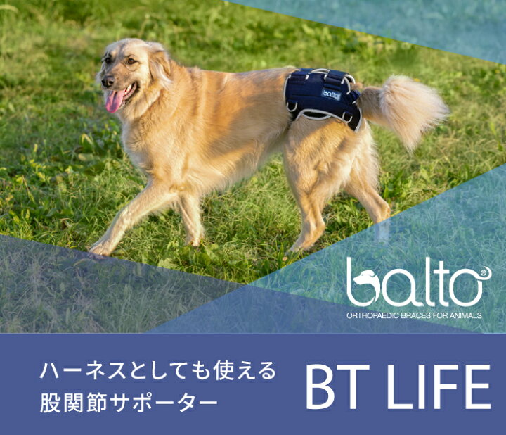 楽天市場】BT LIFE(股関節サポーター)Mサイズペット用 股関節  