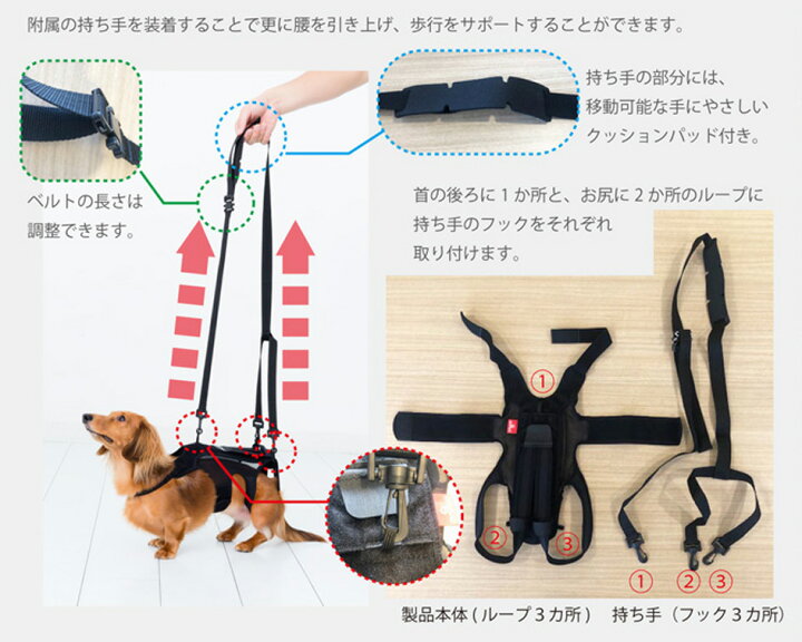 楽天市場 犬用品 犬用コルセット ハーネス 術後 介護 わんコル Mサイズ ブラック 日本製 ダイヤ工業 Anifull アニフル 愛犬と一緒に歩くを叶えるanifull