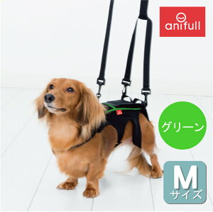 yanifull z R MTCY O[  Ajt _CH { p pRZbg RZbg  p     w  Œ  s⏕ ⏕  \t