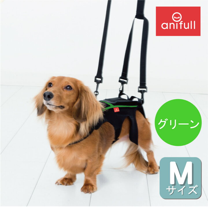 楽天市場】【廃盤商品のため在庫限り終売】【anifull 公式】 わんコル 